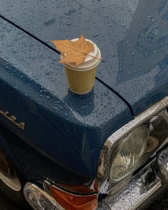 Vuestros favoritos 🎡