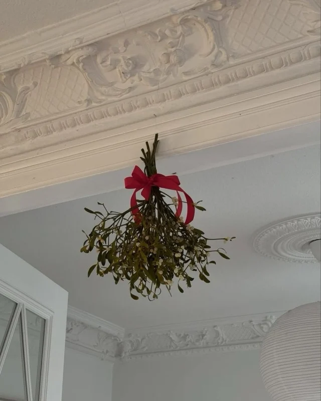 Disfrutad de los vuestros y de todas esas pequeñas cosas que son siempre las más importantes.

Feliz Navidad ⭐️