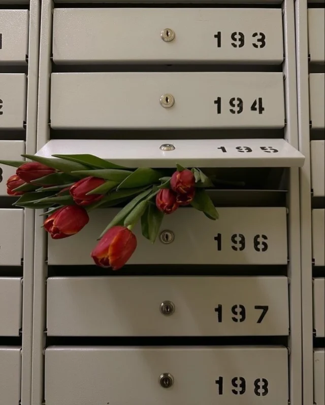 Contando los días para primavera… 🌷