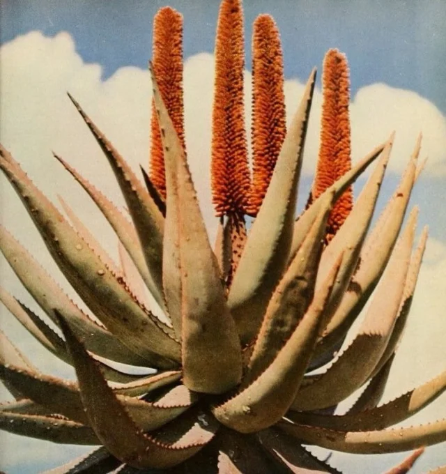 #RANDOM es una manera de compartir descubrimientos, que aunque no tengan nada que ver unos con otros, me parecen interesantes, me gustan, me emocionan, o me hacen sonreir

#Random en Stories (también en los destacados)